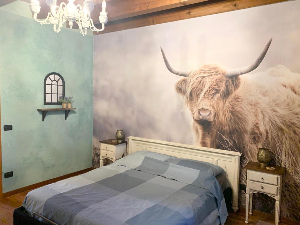 B&B Acquagrossa San Martino Buon Albergo Extérieur photo
