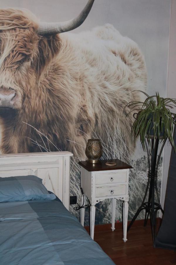 B&B Acquagrossa San Martino Buon Albergo Extérieur photo